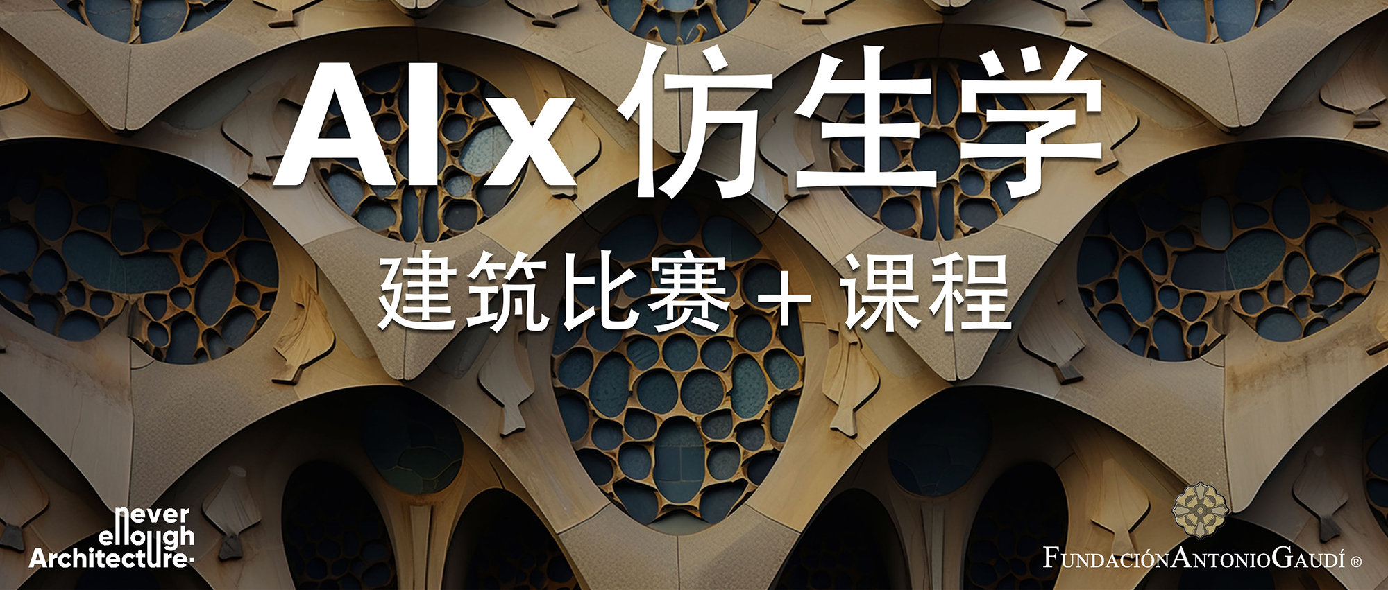 建筑比赛 + 课程 | AI x 仿生学 