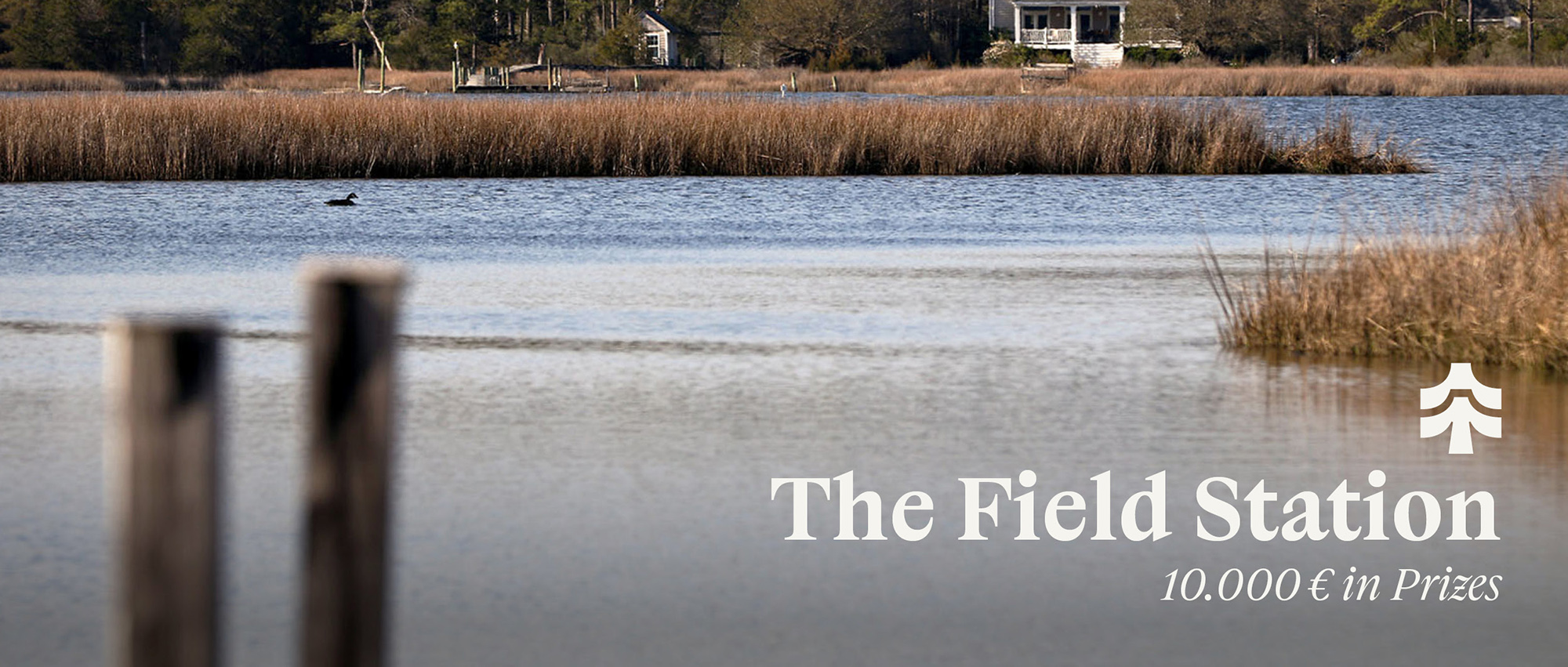 野外站点（THE FIELD STATION）建筑竞赛